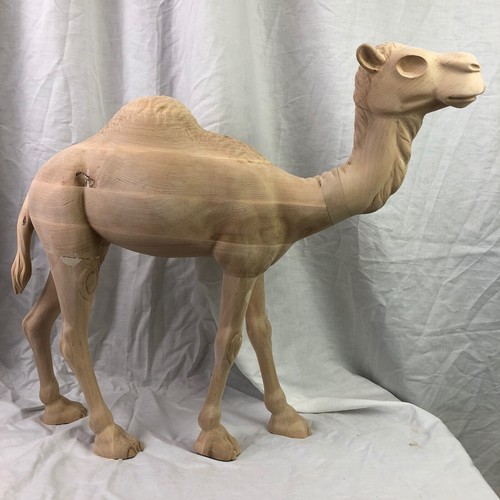 Dromedary kings magi - kings,